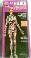 MUJER VISIBLE LODELA